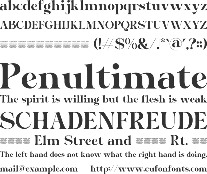 Brandes font preview