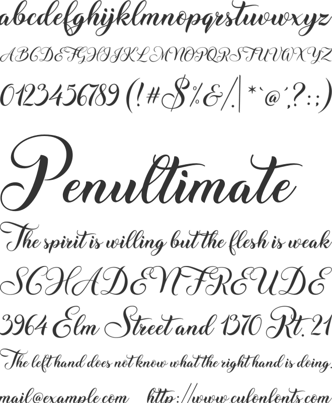 Ms Stusi font preview