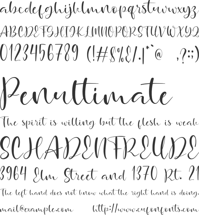 Pavethiq font preview