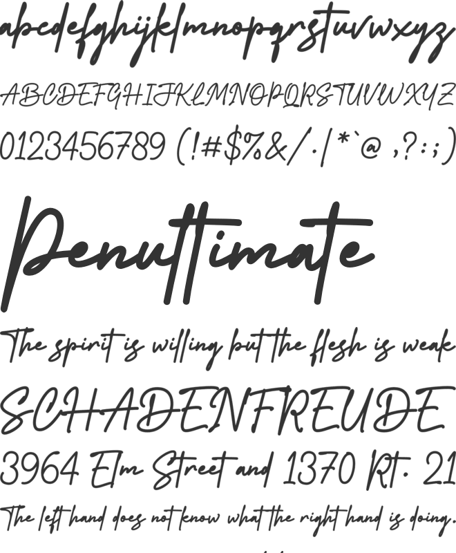 Ypsilanti Signature font preview