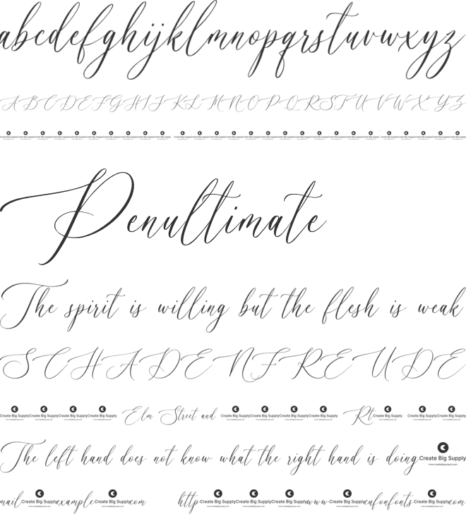 Amantea Script font preview