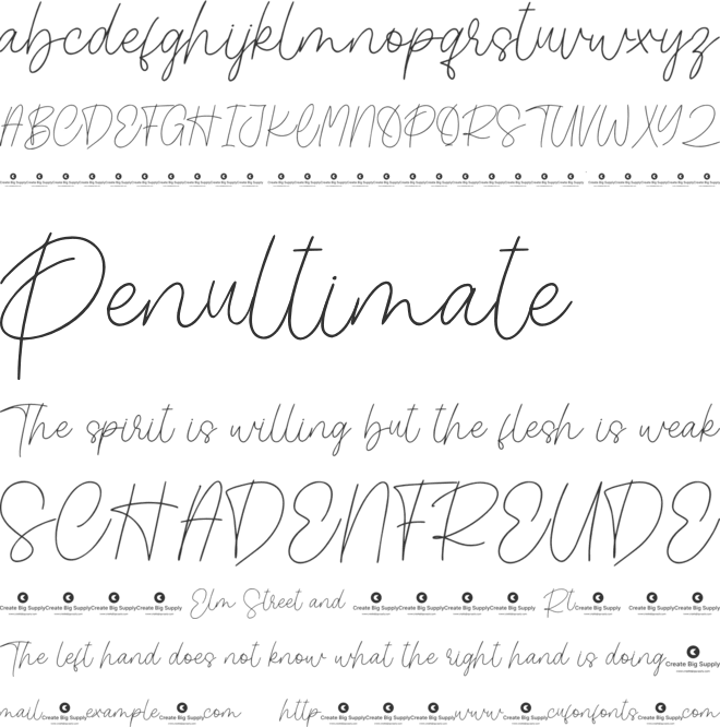 Plausible font preview