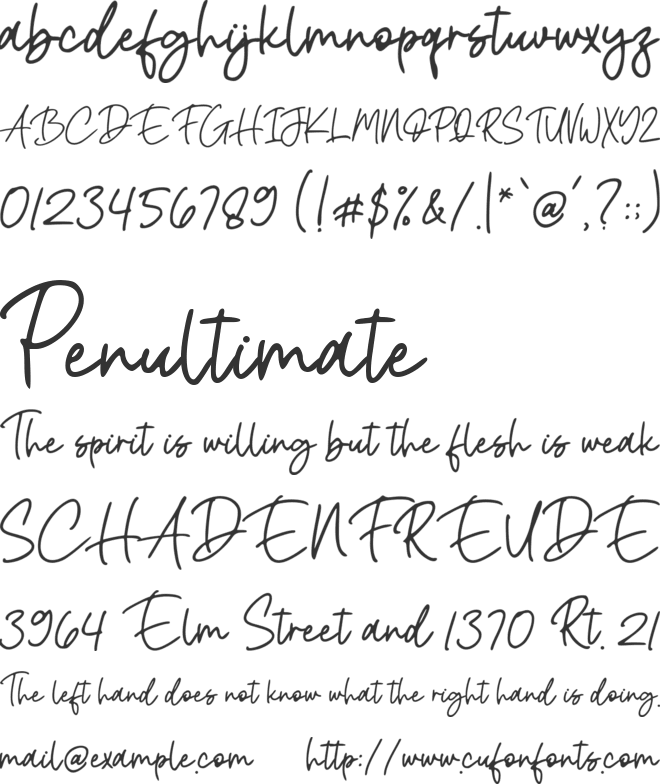 Femila Signature font preview