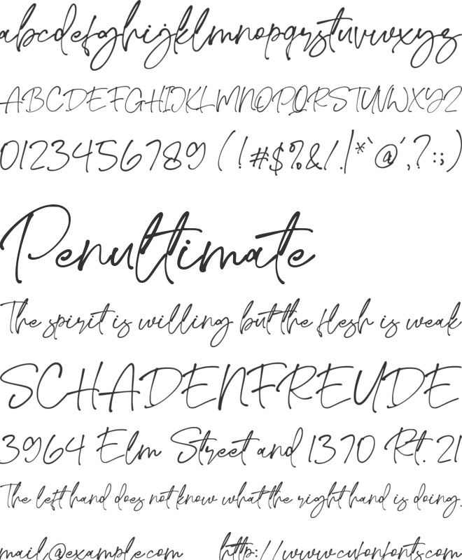 Sidneyland font preview