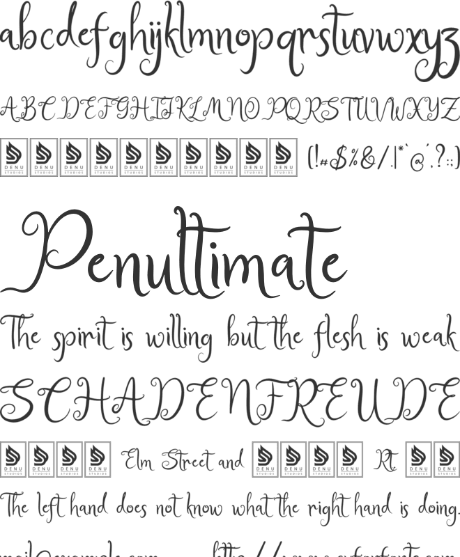 Bellina Seamy font preview