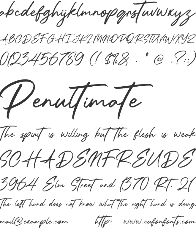 Panthere font preview