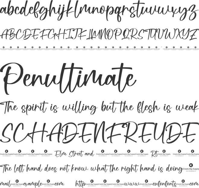 Fellicia Grace font preview