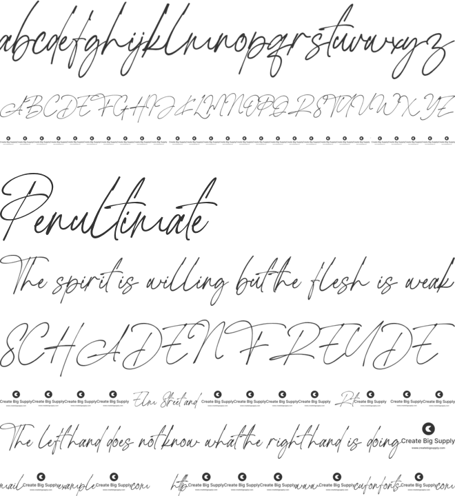 Rottis Amesty font preview