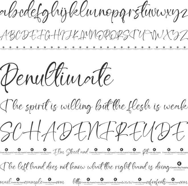 Lacosta Flower font preview