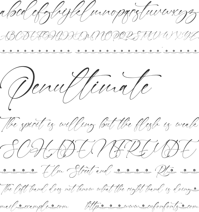 Daniella Megan font preview