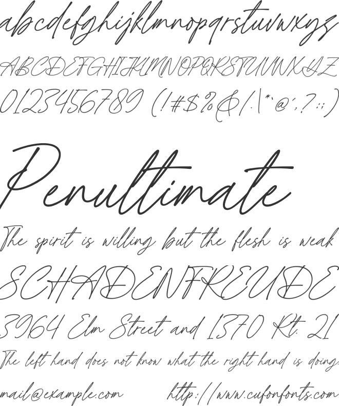 Angellica Signature font preview