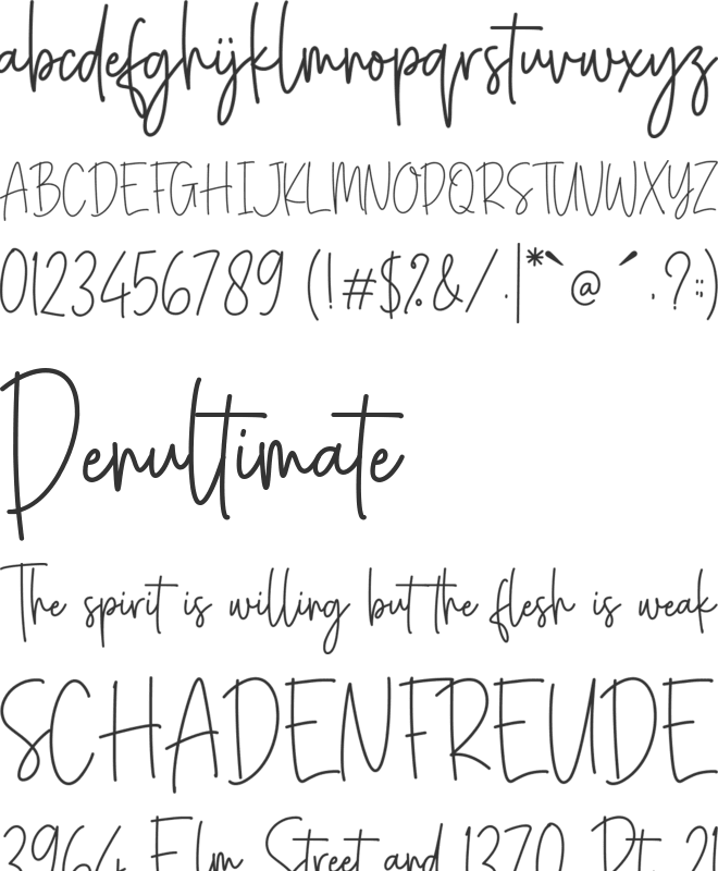 Confidente font preview