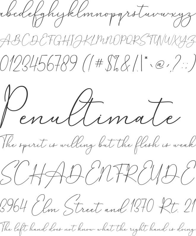 Salenta font preview