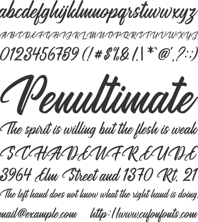 Megatype Script font preview