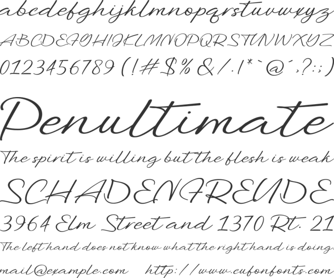 Benjamin Signature font preview