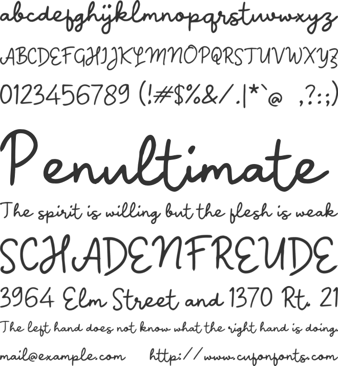 n Niamoy Script font preview