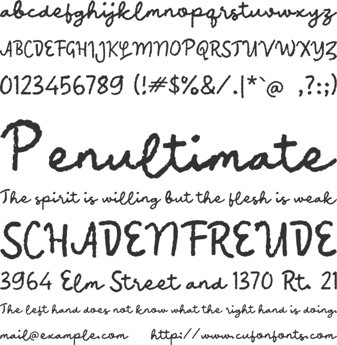 n Nasilya font preview