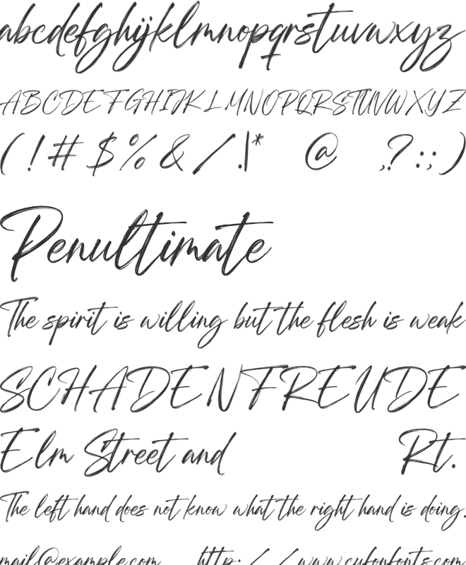 Brush Sinergi font preview