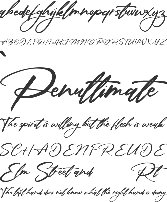 Prologie Signature font preview