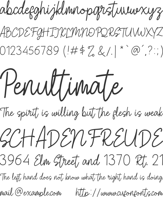 Palma Paradise font preview