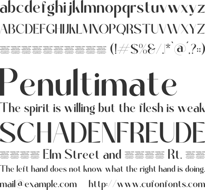 Davinca font preview