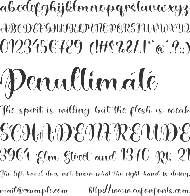 Nektar font preview