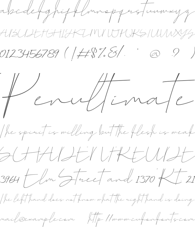 Corleone Signature font preview