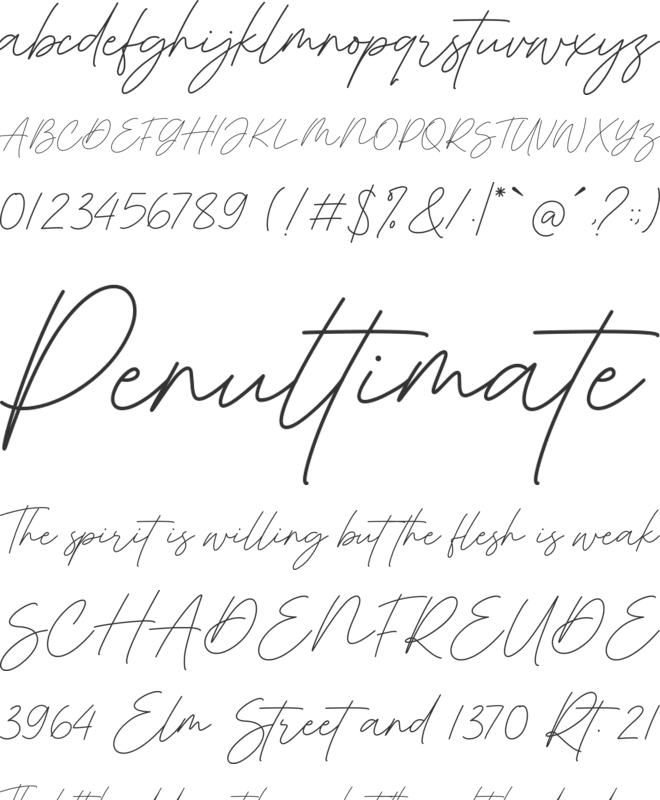 Monstera Jam font preview