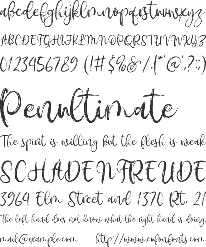 Amonyca font preview