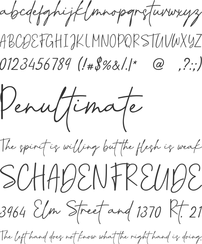 CoastlineCalligraphy font preview