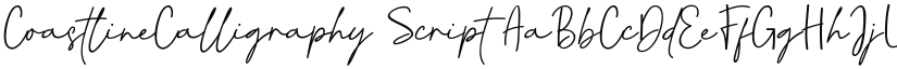 CoastlineCalligraphy Script font