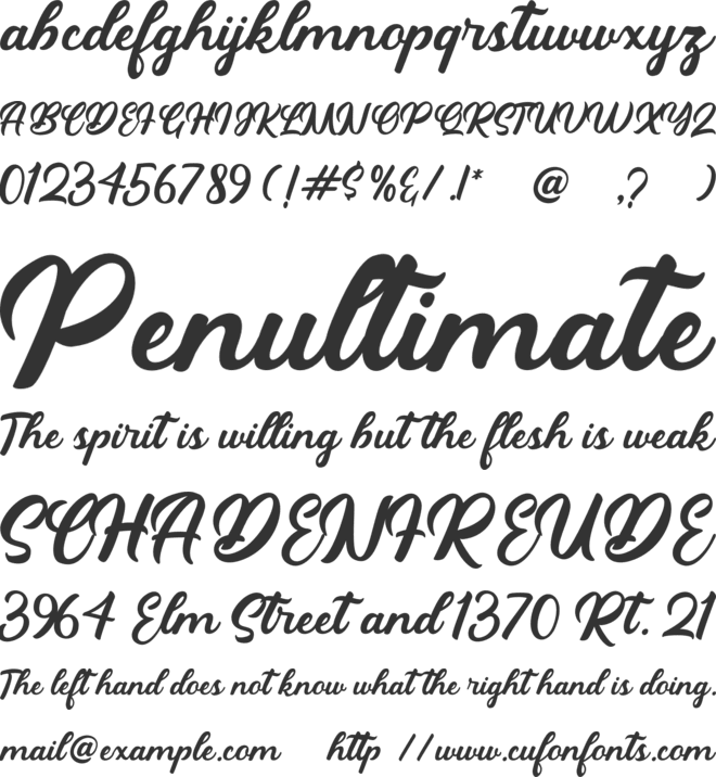 Critical Figure font preview