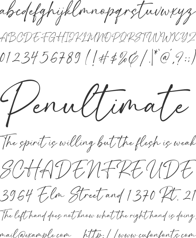 Hamiston Signature font preview