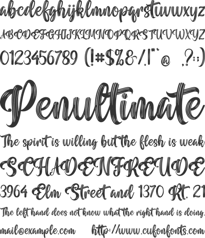 Vintage Brush font preview