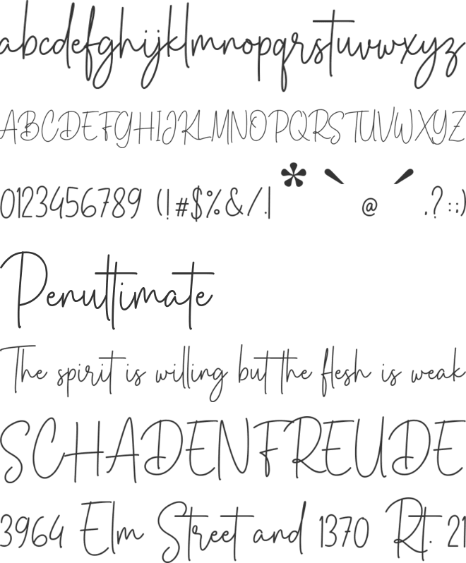 Reys Monstera font preview