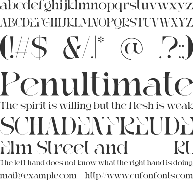 Reaga Vintage font preview