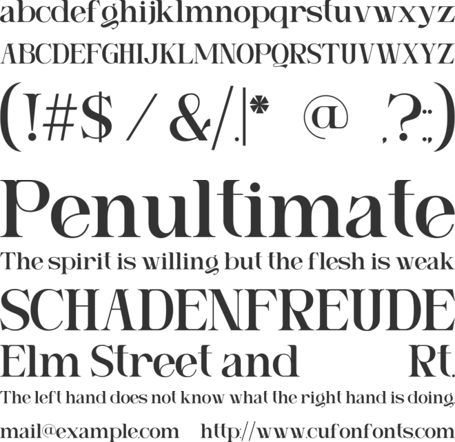 Ngetic Modern font preview