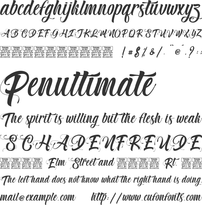 Mister Grape - Personal Use font preview