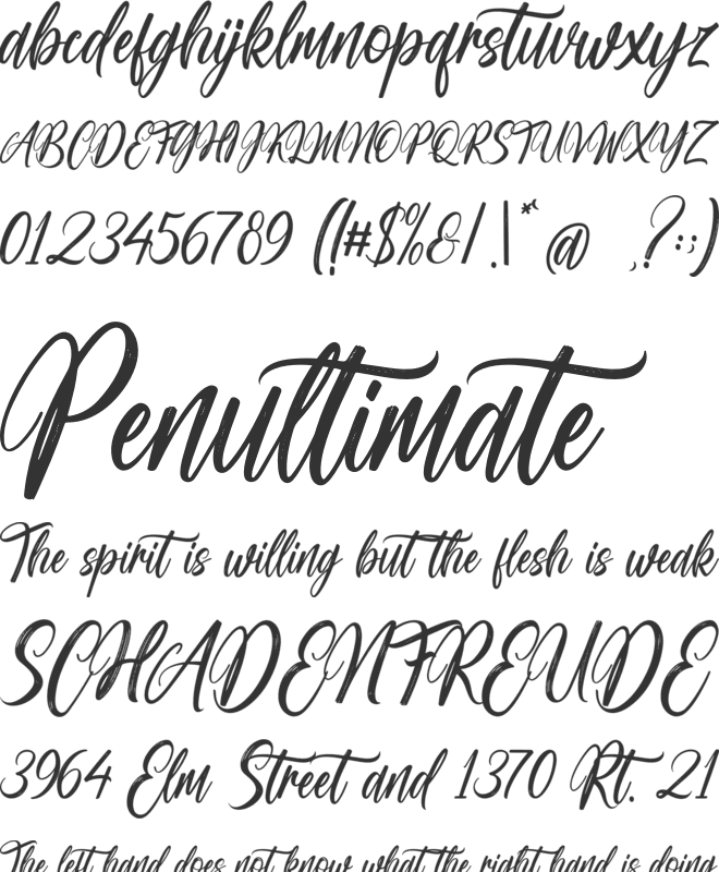 Brushell Silhouette font preview