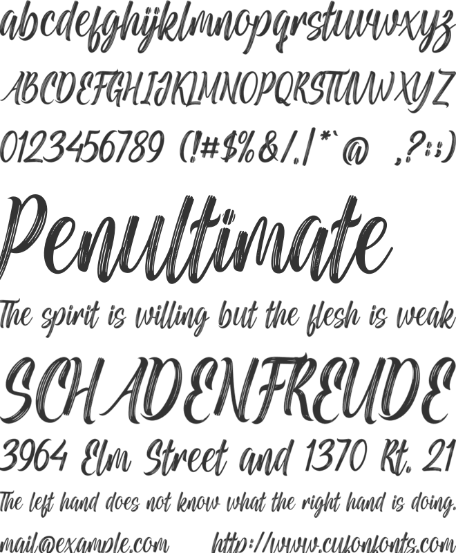 Paradise Silhouette font preview