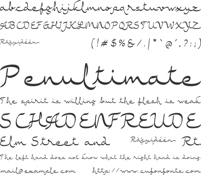 Rasyideen font preview