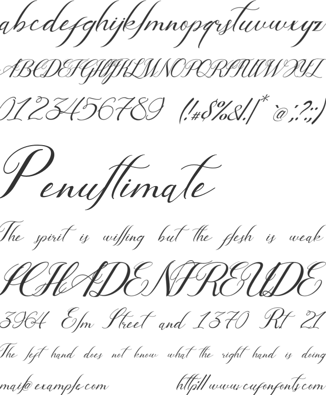 Angelina Rosemary font preview