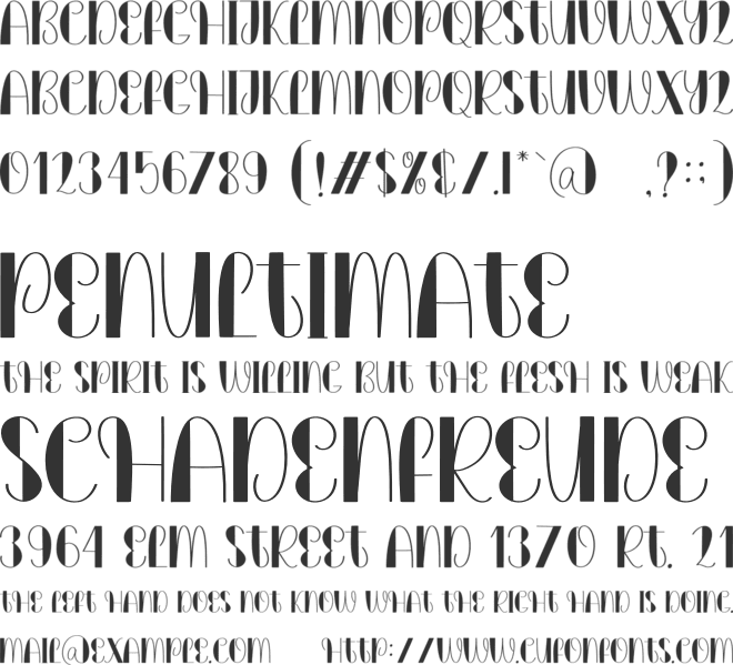 Monday Family font preview