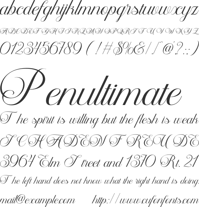 Delphia Village font preview