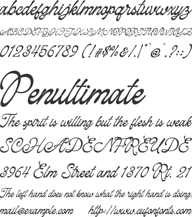 Raphiola font preview