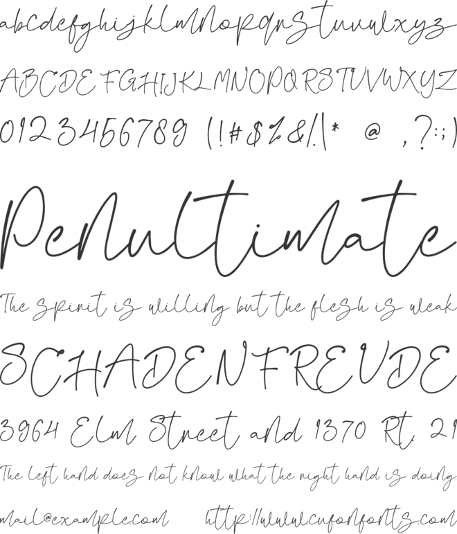 FanitaPricia font preview