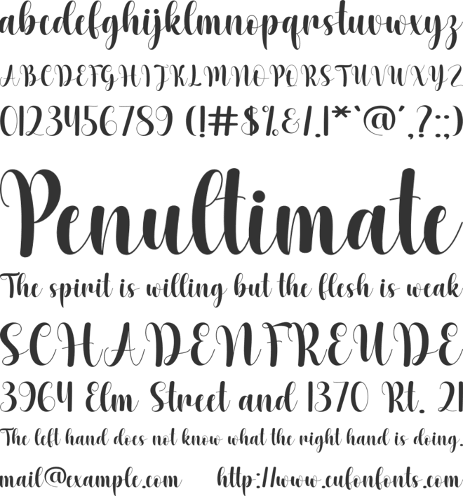 Bailey font preview