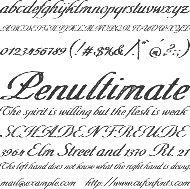 Merchande Print Script font preview