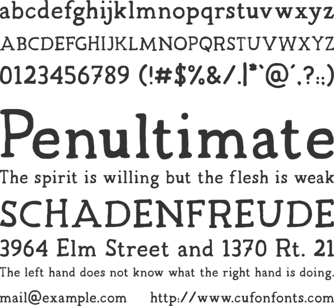 TC Jimmy Serif Pro font preview