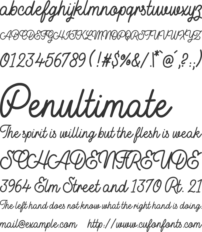 Buckwheat TC Script font preview